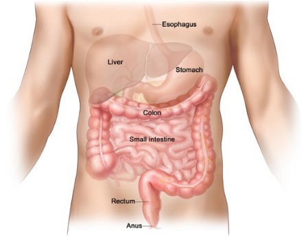 Best Colorectal Cancer in Dehradun